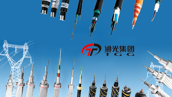 全資子公司
