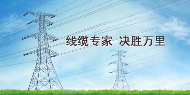 線纜專家 決勝萬里
